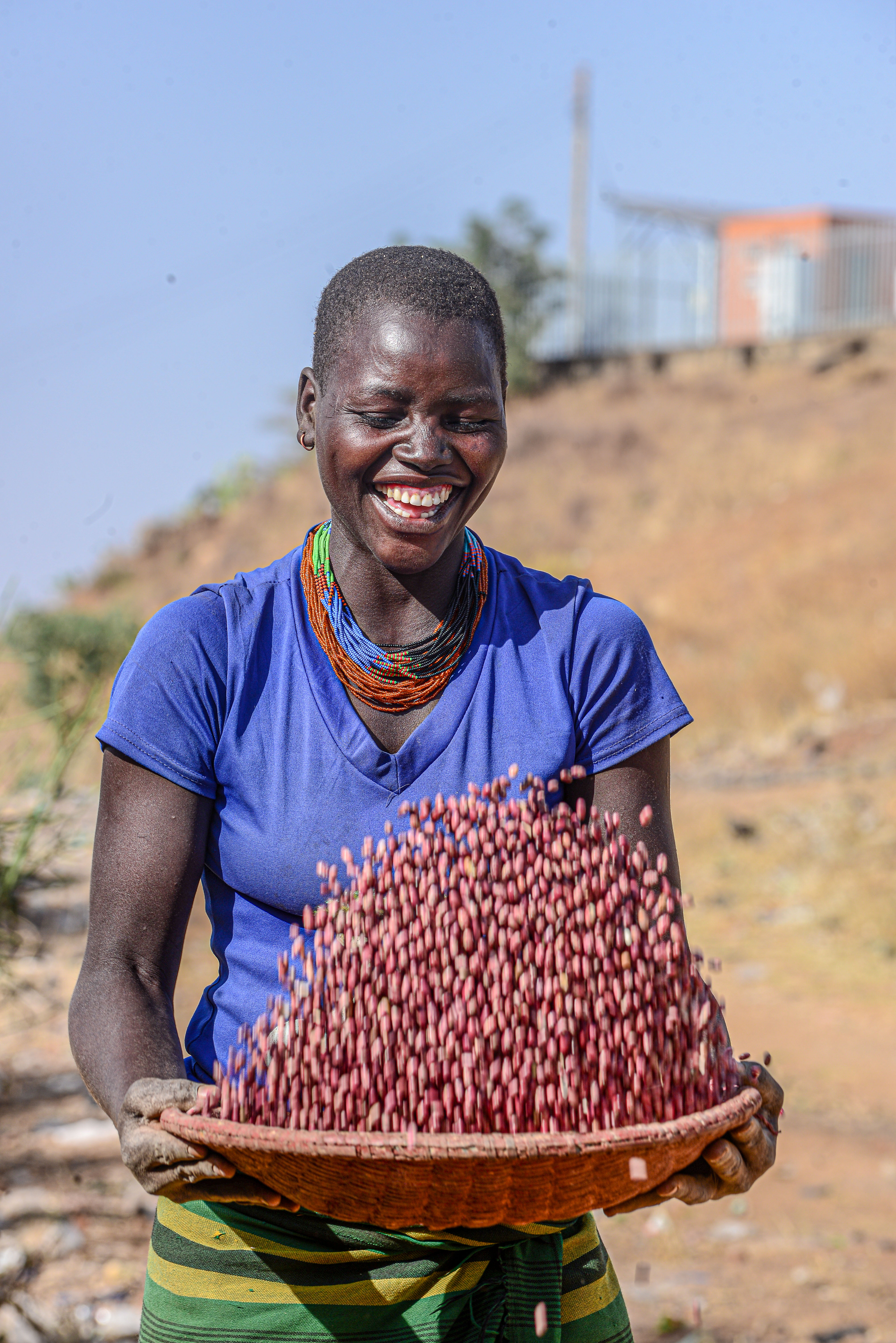 MAKING MONEY AND IMPROVING NUTRITION THROUGH INVESTMENT IN IRON RICH BEANS